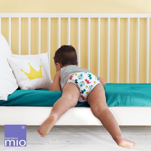 Baby Products Online - Bambino Mio Potty Training Pants, Pegasus Palace  Mixed Girl, 18-24 Months, 5 Pack - Kideno